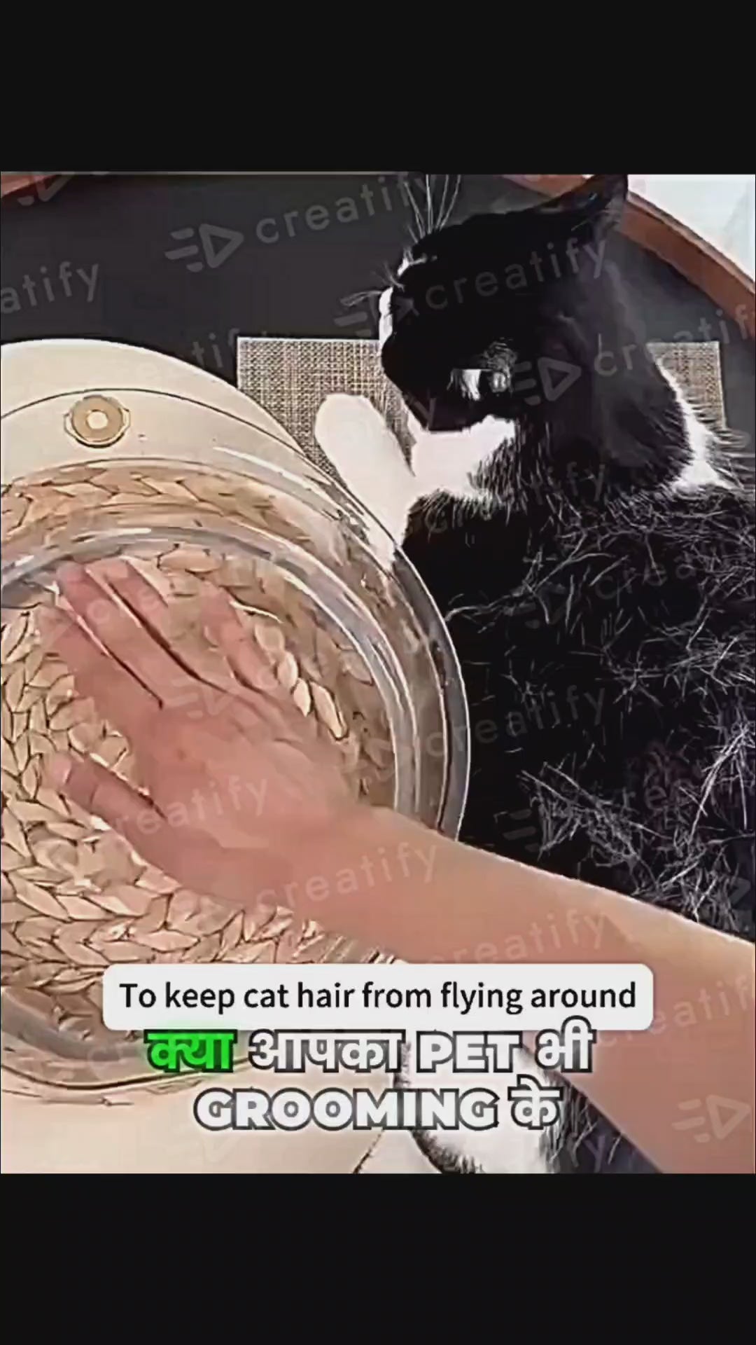 Steam Brush for Dog/Cat